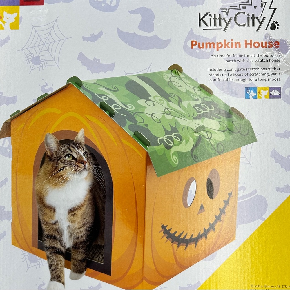 Kitty CITY NIB PUMPKIN HOUSE CORRUGATE SCRATCH BOARD STANDS UP TO HOURS OF